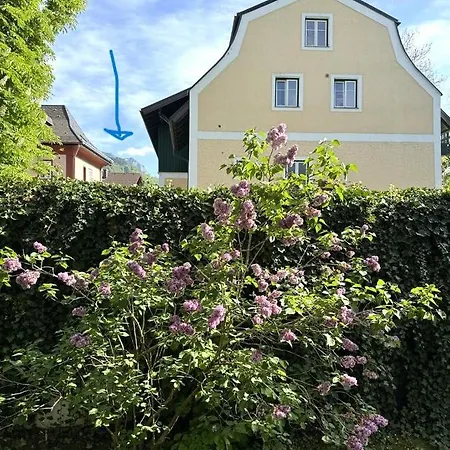 Balkon-apartment Mit Badeplatz - Zentral Daire Gmunden